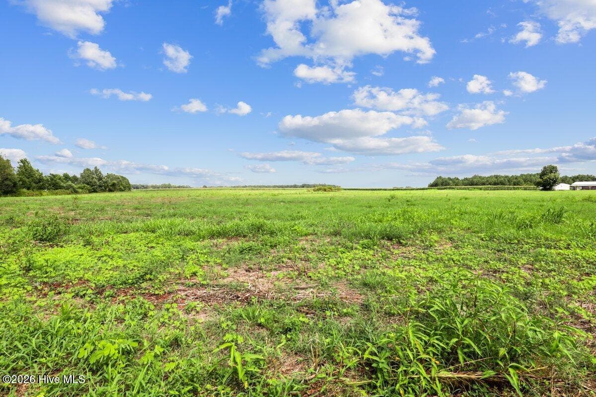 Residential Lot at Lot 1 Waller Road, Mount Olive, NC 28365, photo 12 of 16