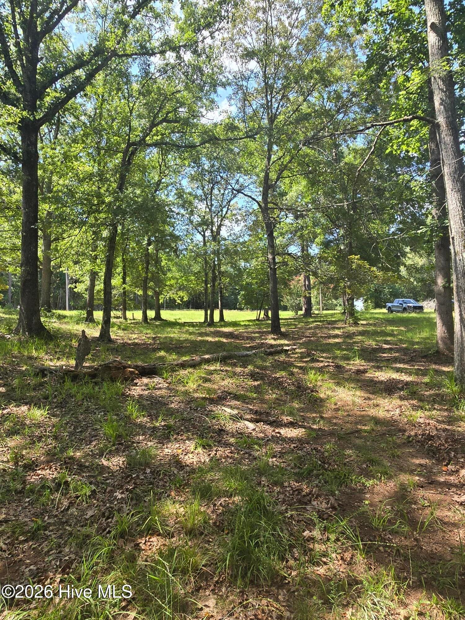 Residential Lot at 2776 Crook Road, Lincolnton, GA 30817, photo 7 of 23