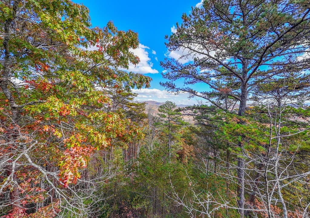 Land at 000 Mistletoe Ridge, Murphy, NC 28906, photo 9 of 30