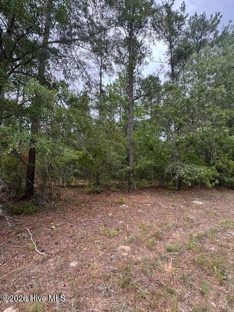 Undeveloped at 0 1 Nc Highway 210 Road, Currie, NC 28435, photo 8 of 10