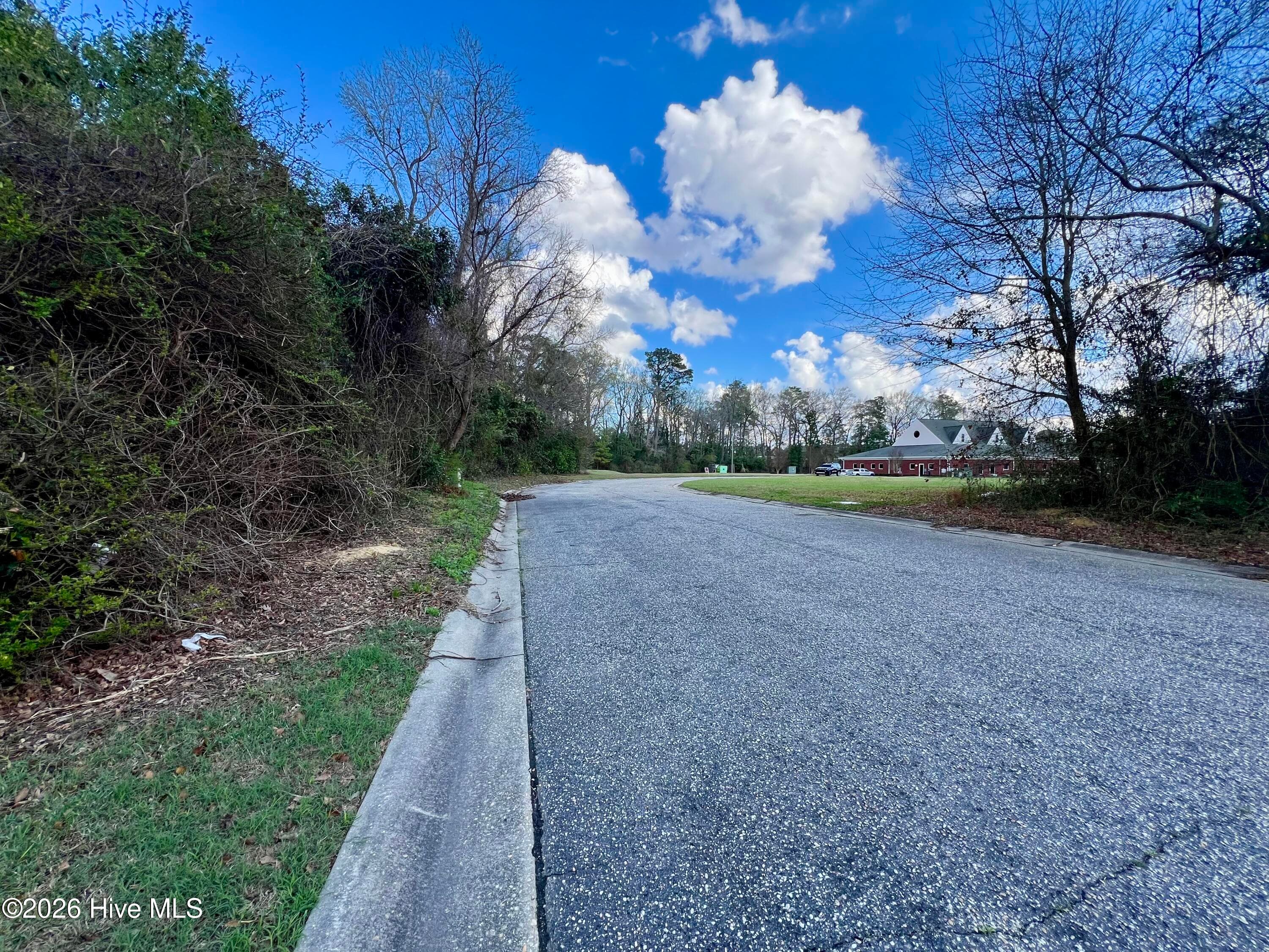 Wooded at 615 Pecan Lane, Whiteville, NC 28472, photo 10 of 10
