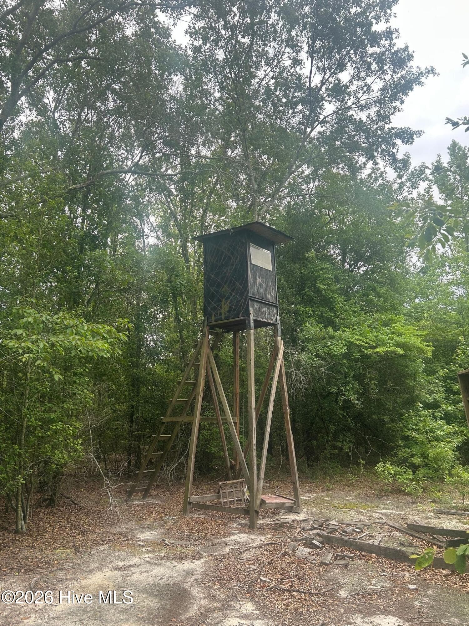 Wooded at Tbd Oliver Carlton Road, Warsaw, NC 28398, photo 7 of 17