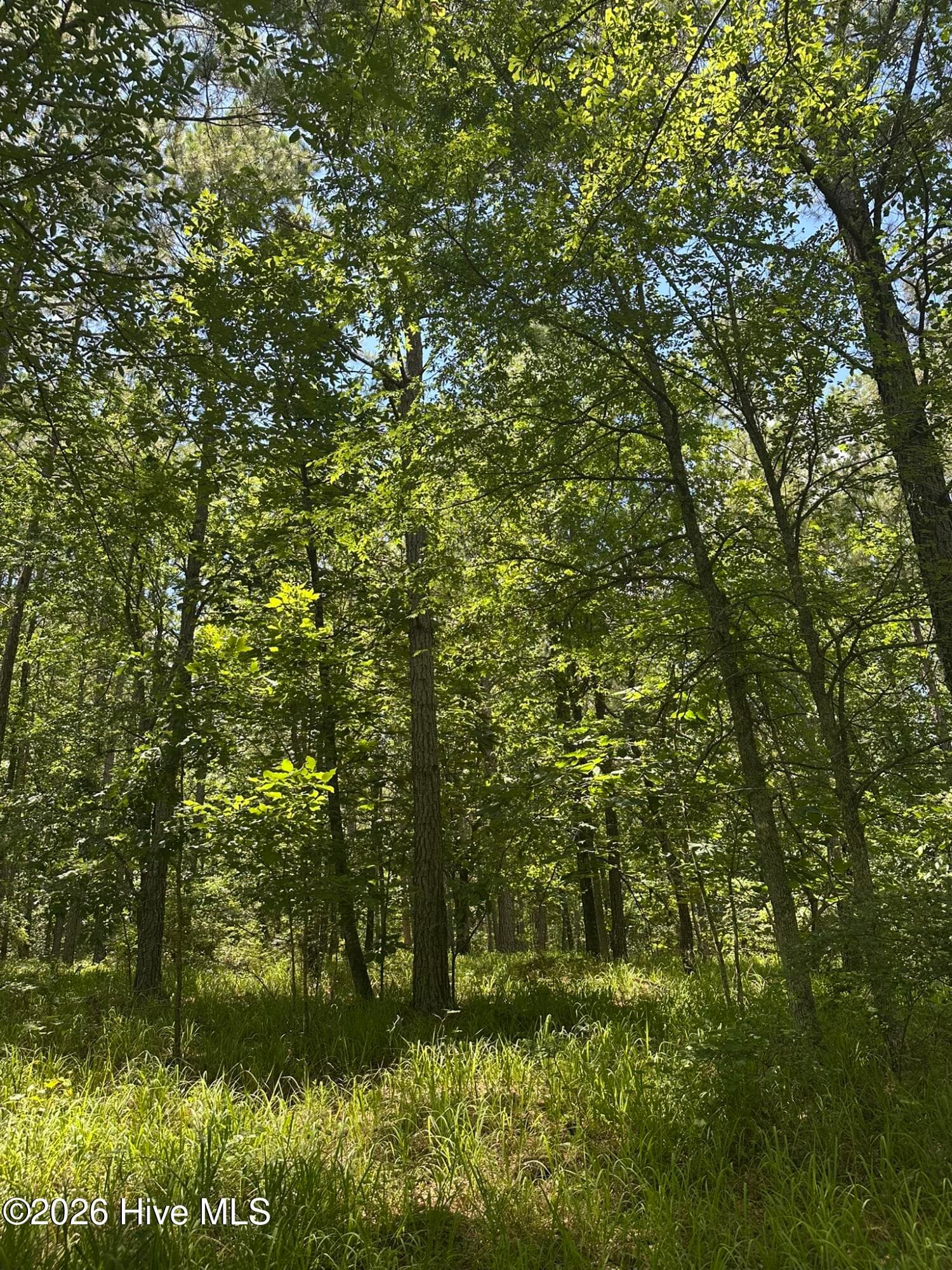 Residential Lot at Lot 29 Honeysuckle Trail, Lincolnton, GA 30817, photo 2 of 4