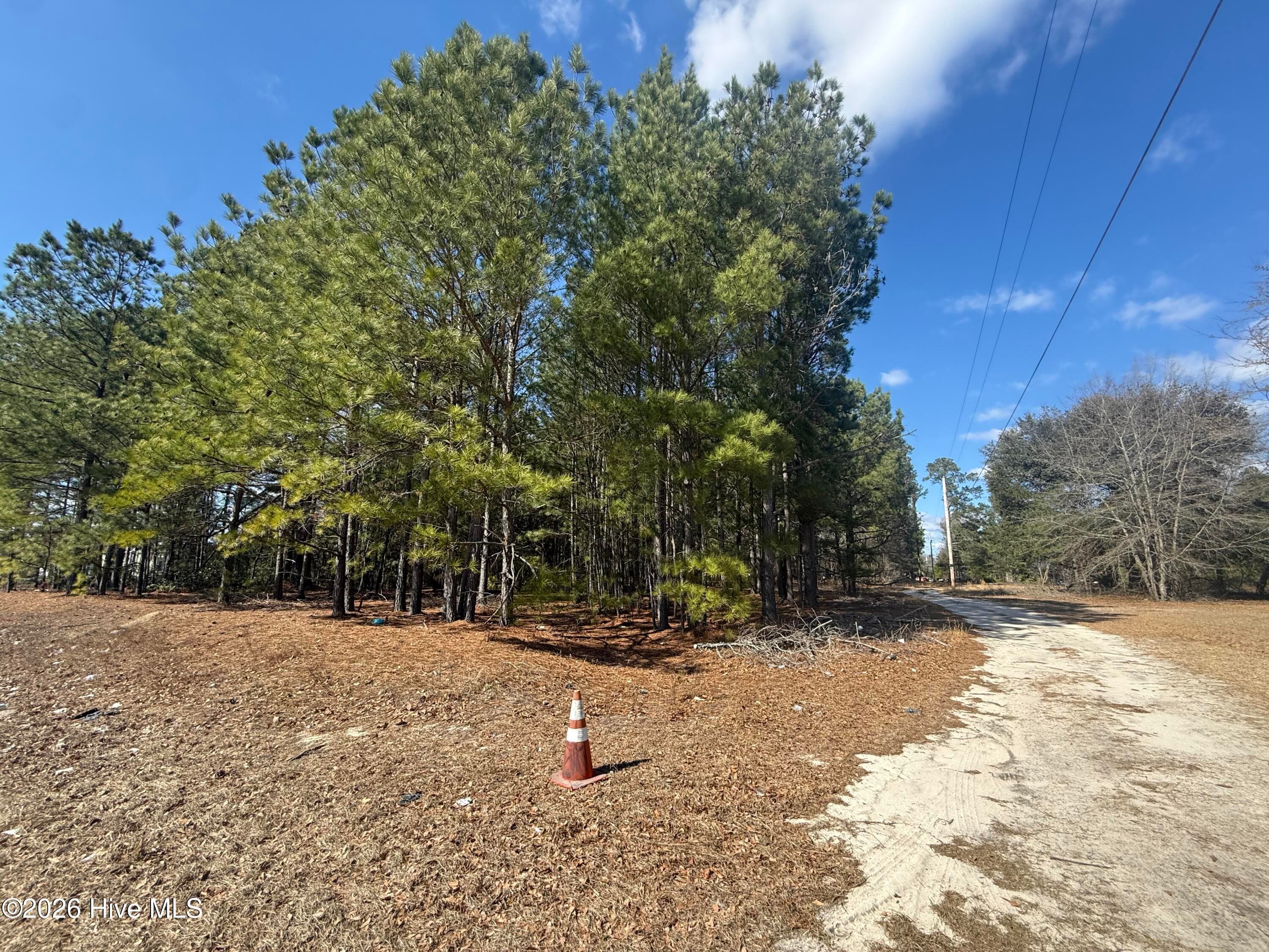 Residential Lot at Tbd Mizpah Road, Rockingham, NC 28379, photo 3 of 3