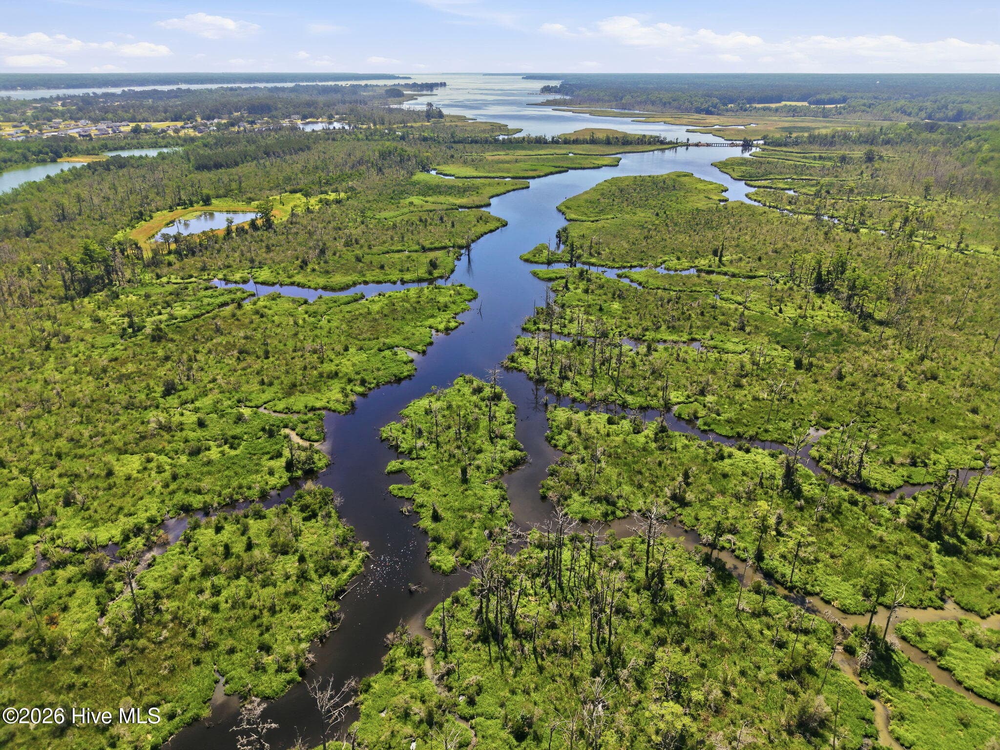 Undeveloped at 000 Us 17, Chocowinity, NC 27817, photo 10 of 17
