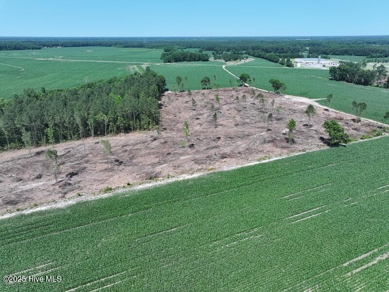 Agriculture at Tbd Highway 71, Red Springs, NC 28377, photo 6 of 17