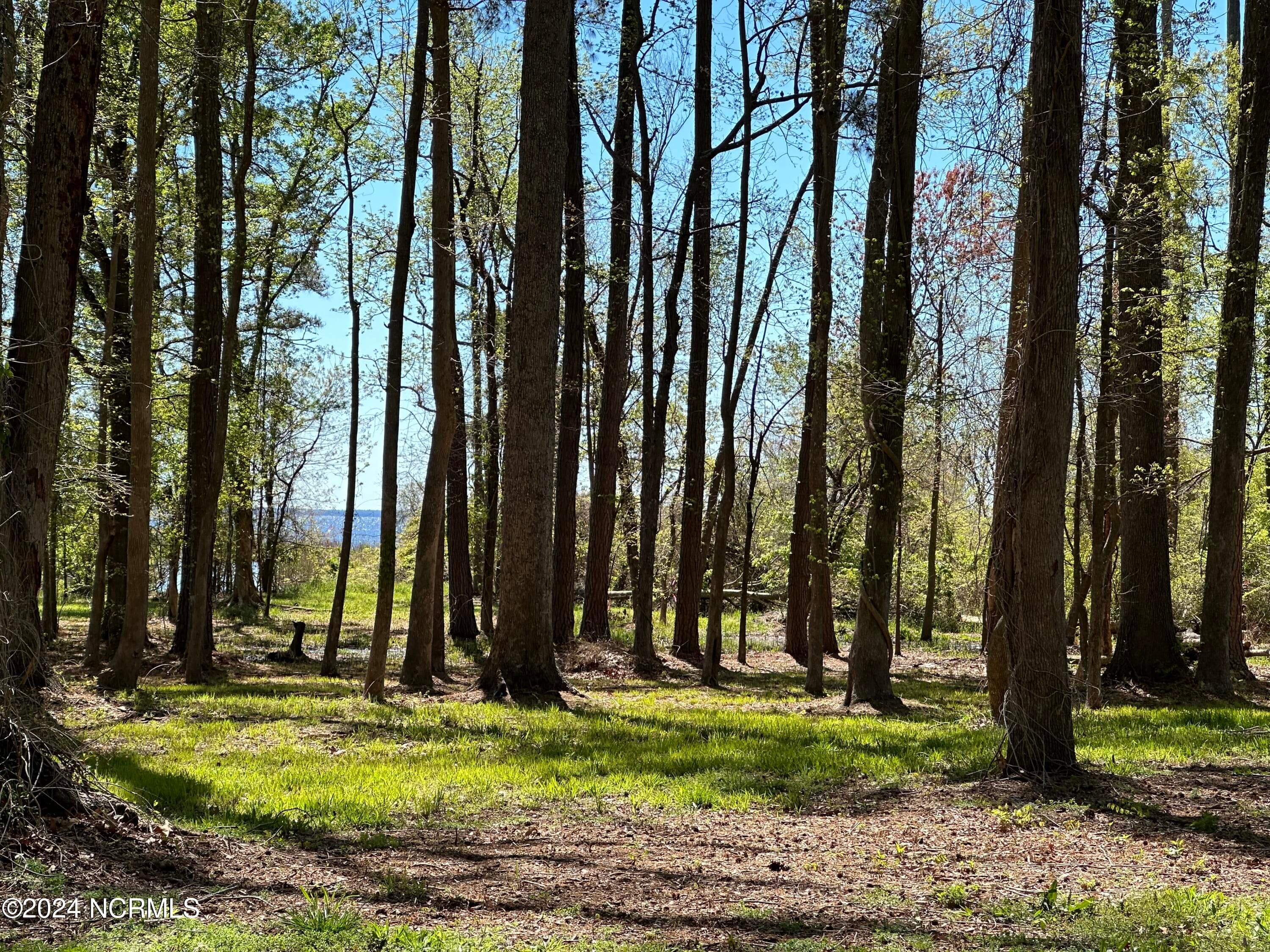 115 Waterford Drive, Bath, NC 27808