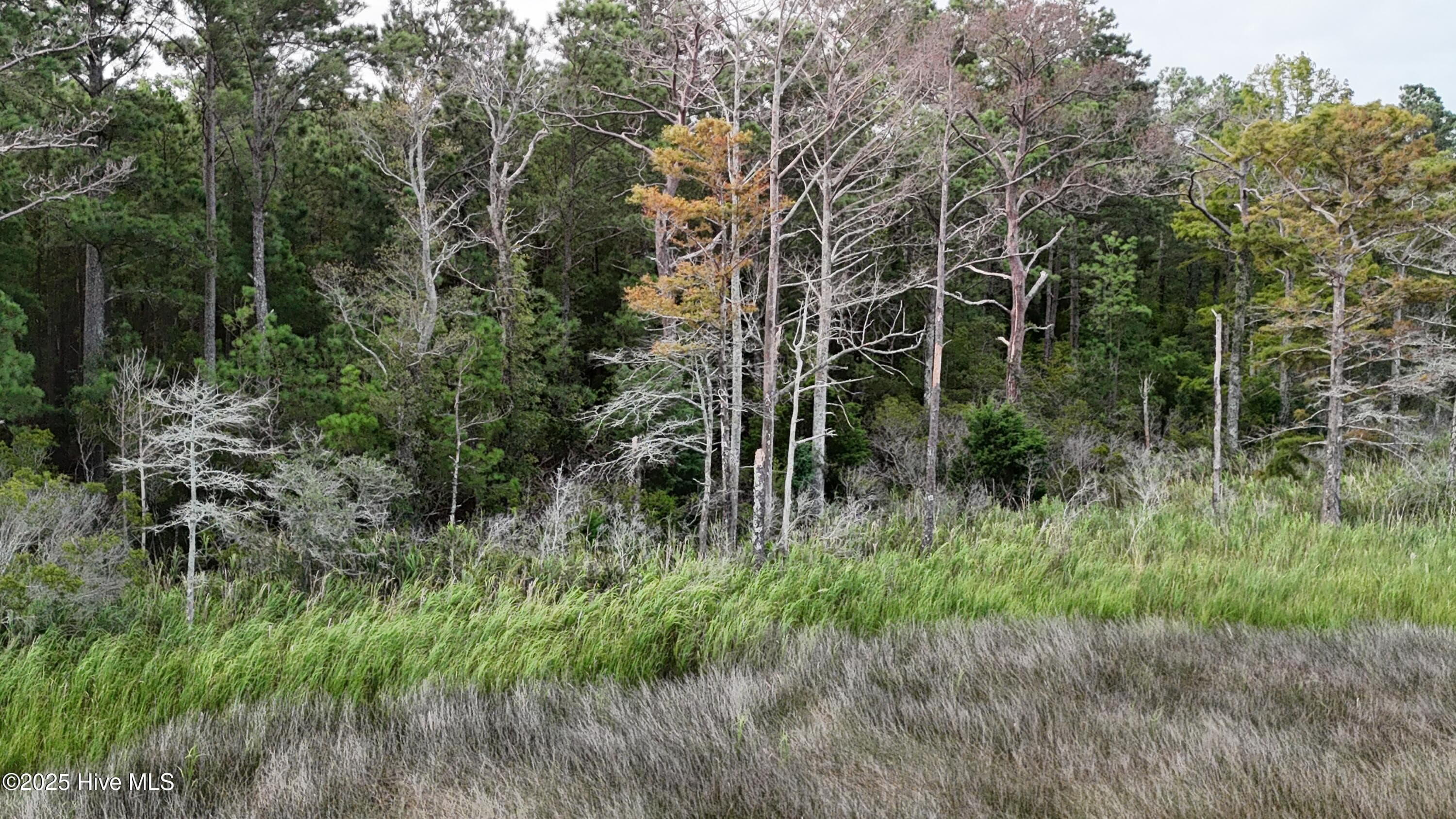 Residential Lot at 237 97 Garbacon Drive, Beaufort, NC 28516, photo 3 of 4