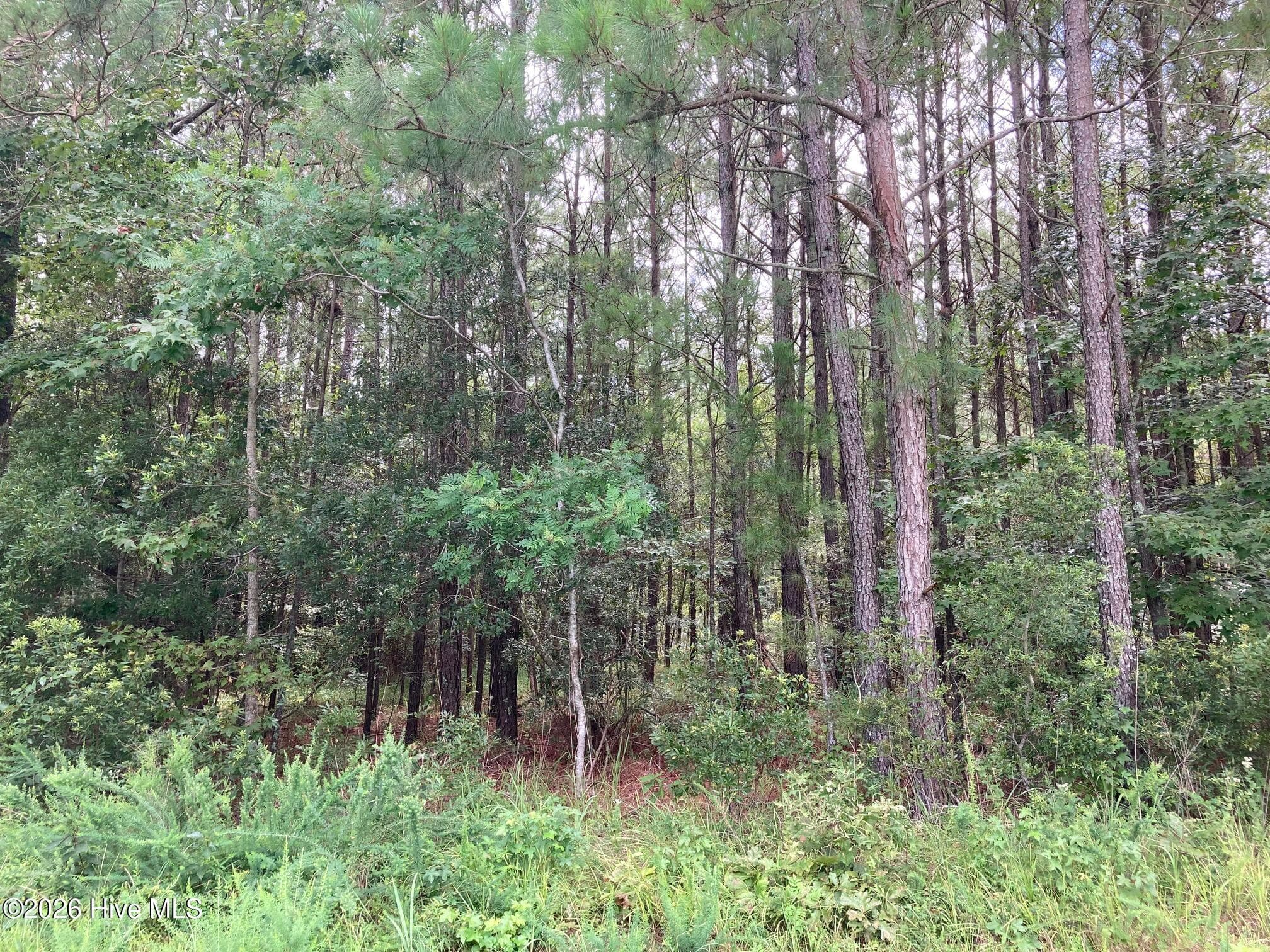 Residential Lot at Lot # 33 33 33 Pine Crest Road, Bath, NC 27808, photo 6 of 7