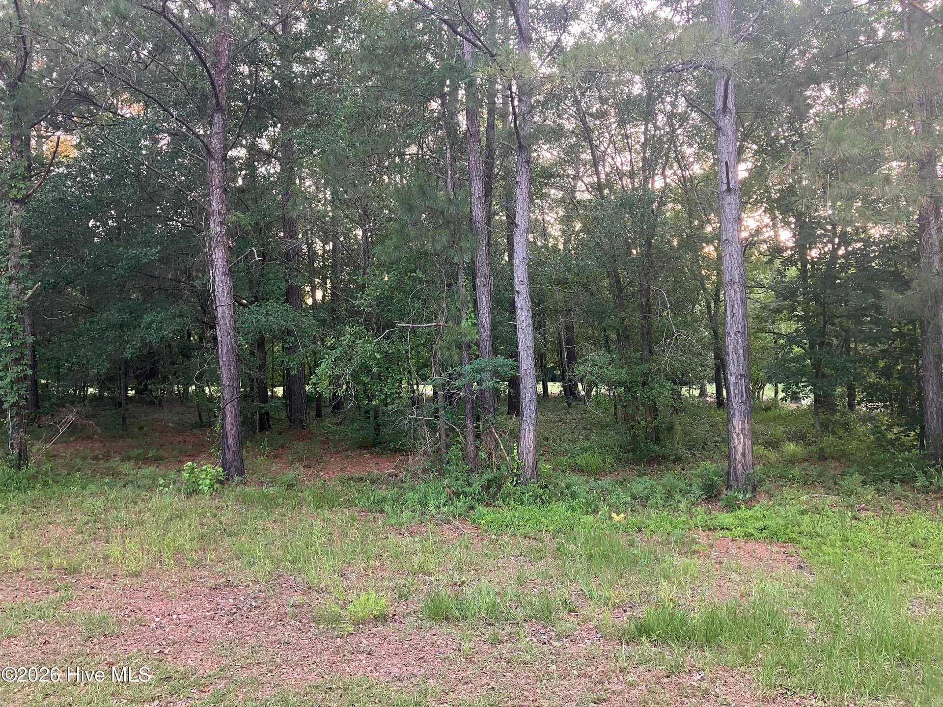 112 RS56 Riverstone Run Drive, Wallace, NC 28466