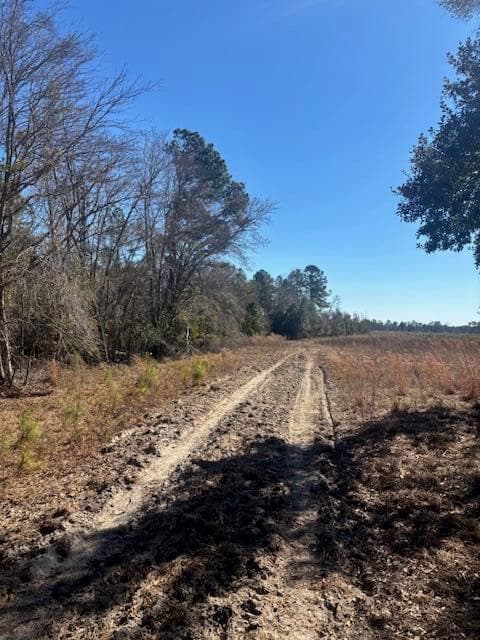Agriculture at 0 Starfish Lane, Lyons, GA 30436, photo 3 of 8