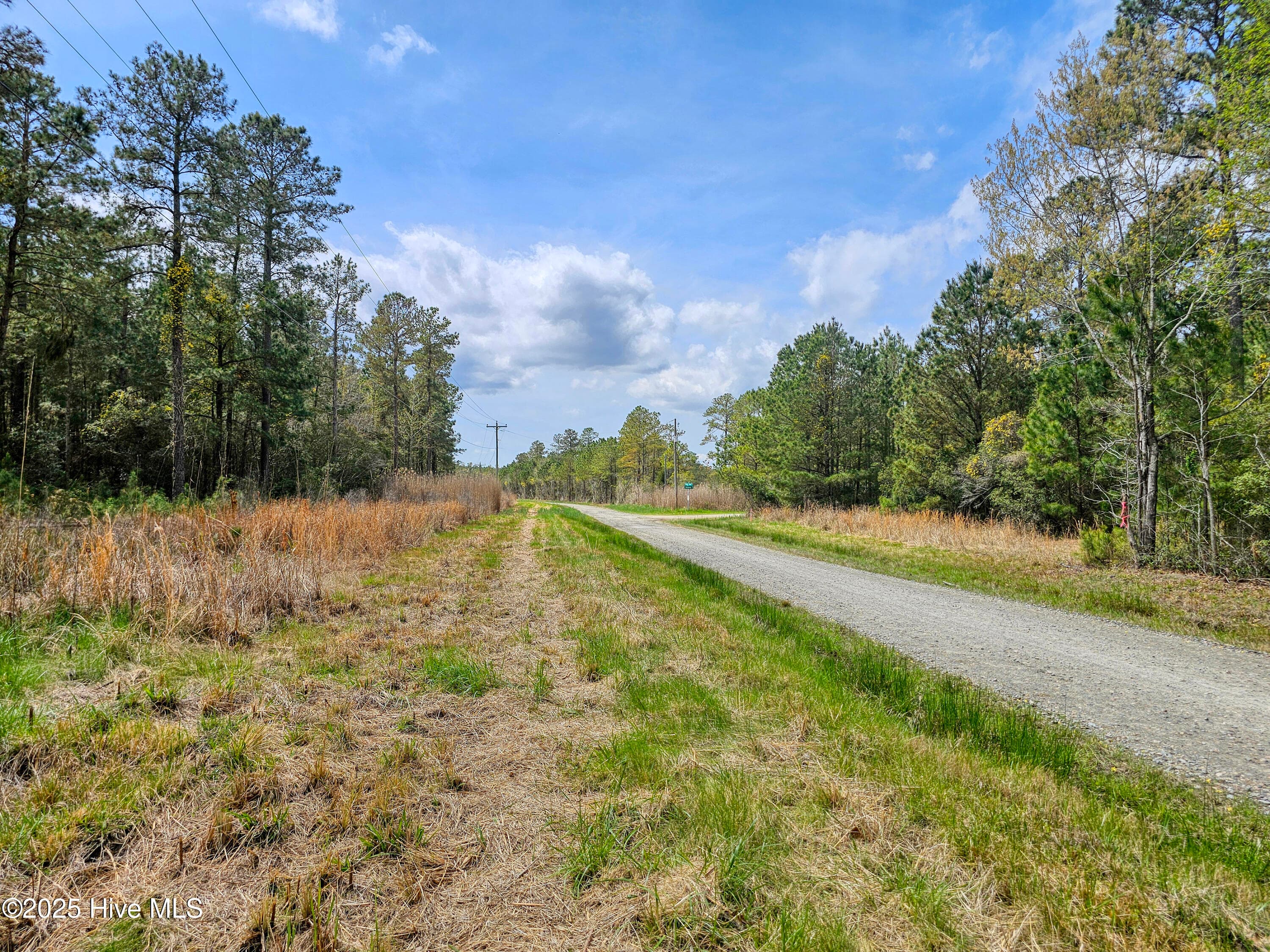 Residential Land at 20 20 Sandy Point Road, Scranton, NC 27875, photo 3 of 6