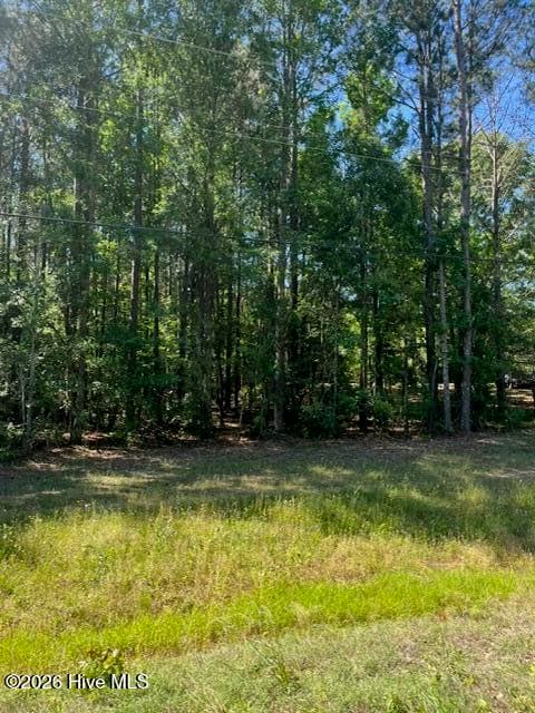 Residential Lot at 0 Cobbham Road, Appling, GA 30802, photo 3 of 3