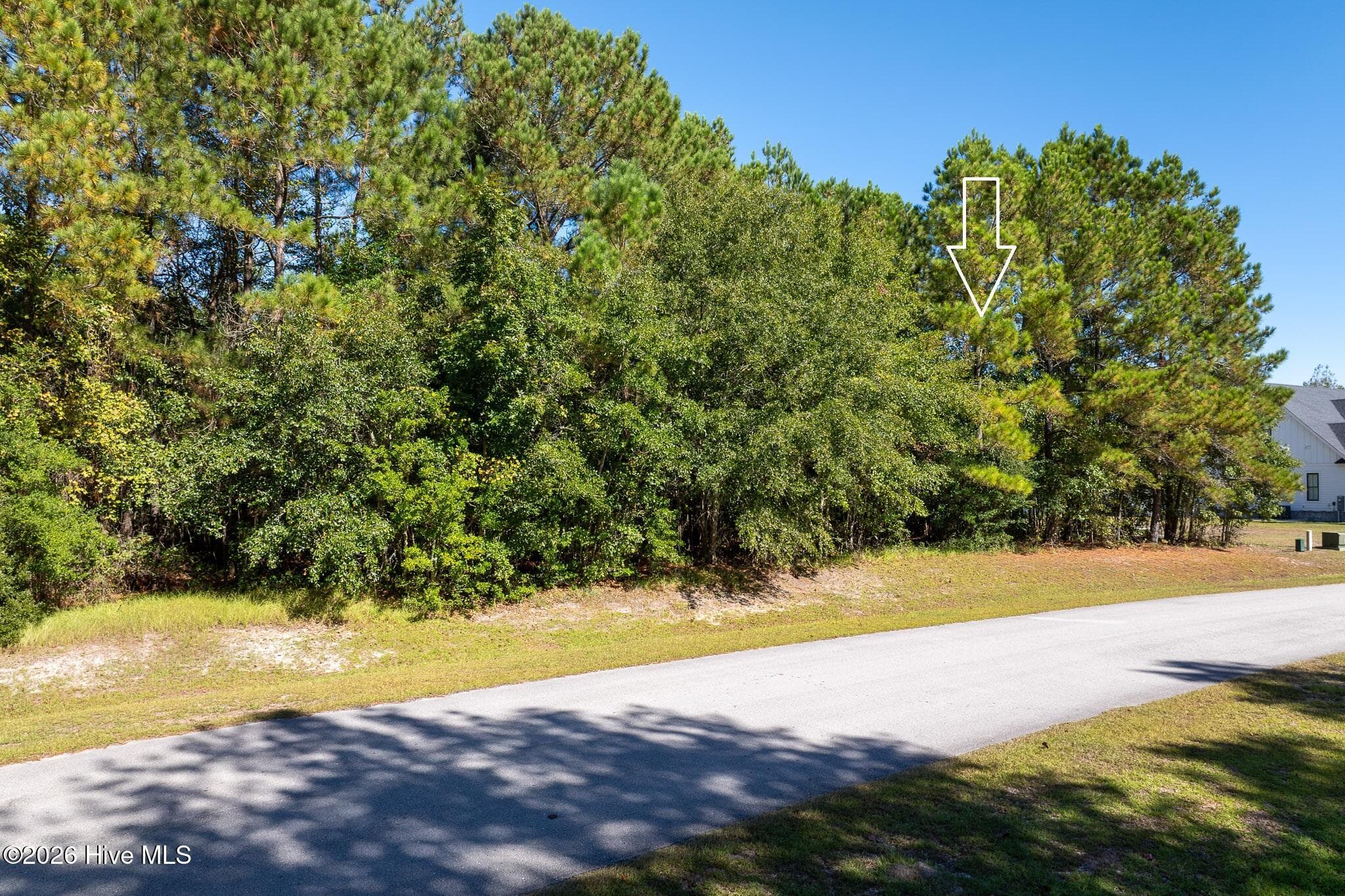 Residential Lot at 145 31 Royal Palms Way, Holly Ridge, NC 28445, photo 3 of 19