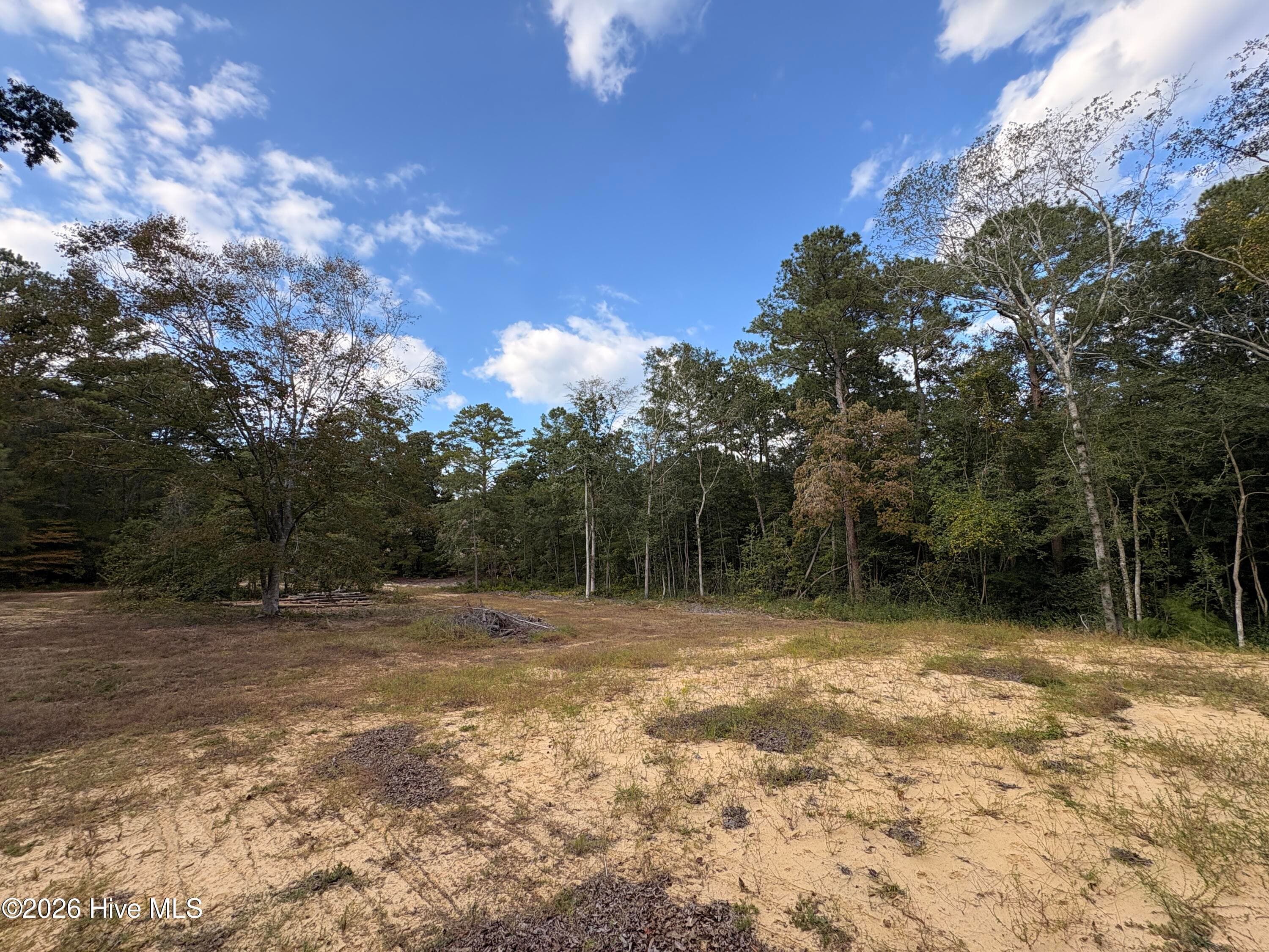 Residential Lot at 209 Oak Drive, Elizabethtown, NC 28337, photo 6 of 10