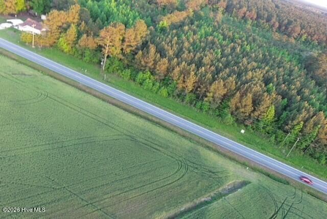 Unimproved Land at 53 Nc Hwy 53, Burgaw, NC 28425, photo 4 of 11