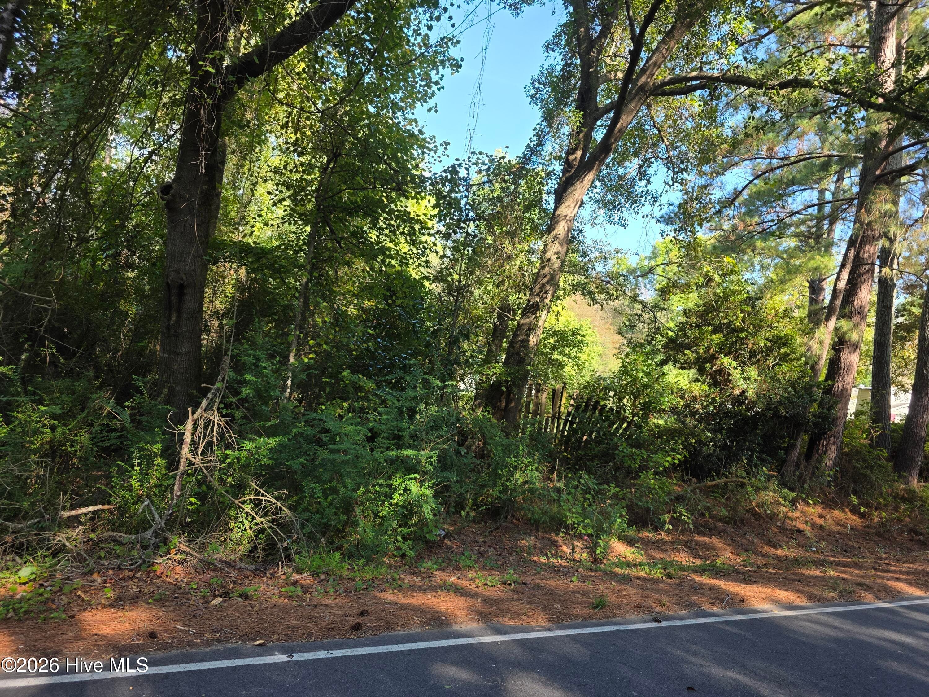Single Family Residence at 170 South River Road, Autryville, NC 28318, photo 71 of 73