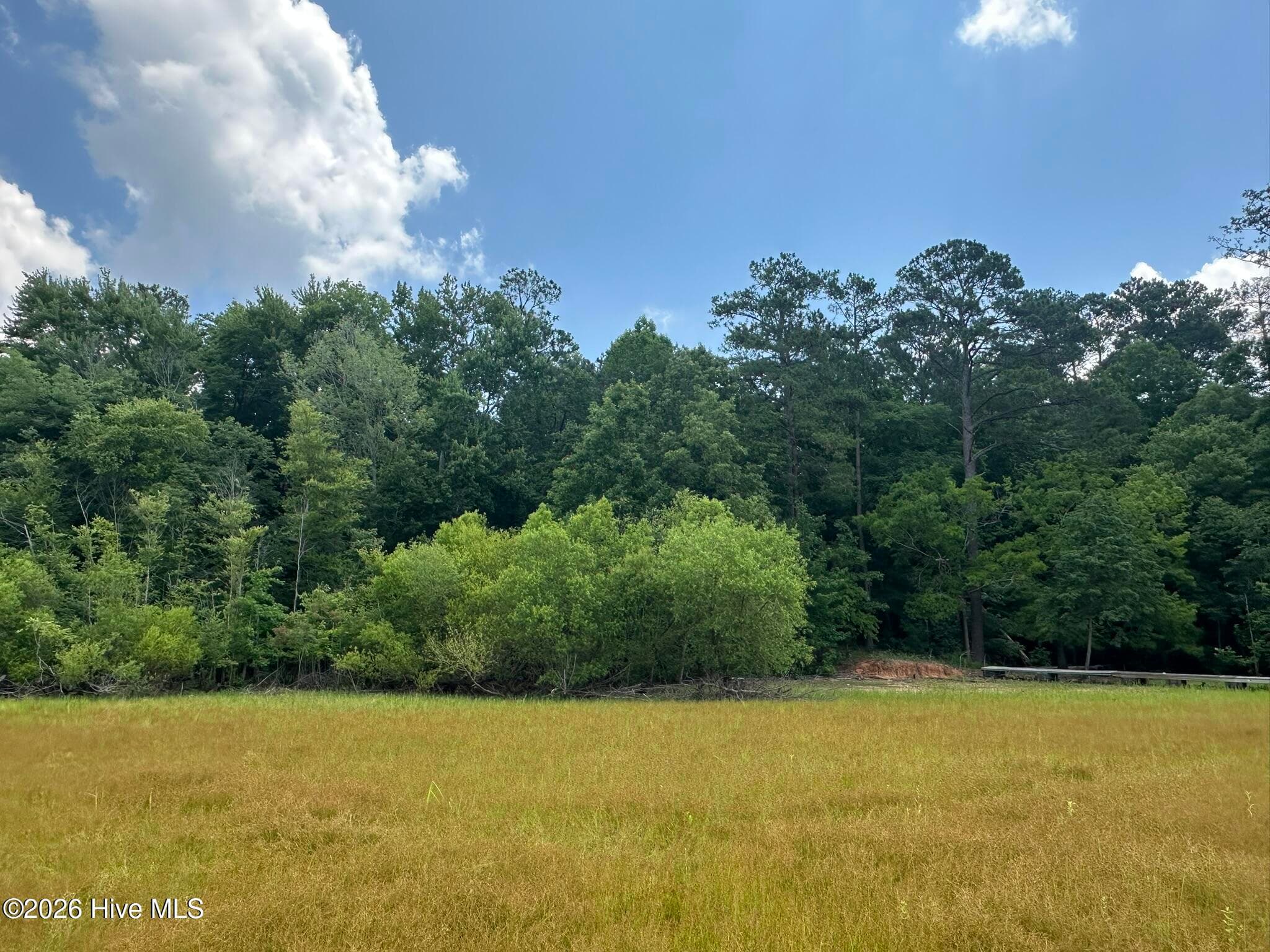 Residential Lot at Lot 17 Lakeshore Estates Drive, Lincolnton, GA 30817, photo 17 of 22