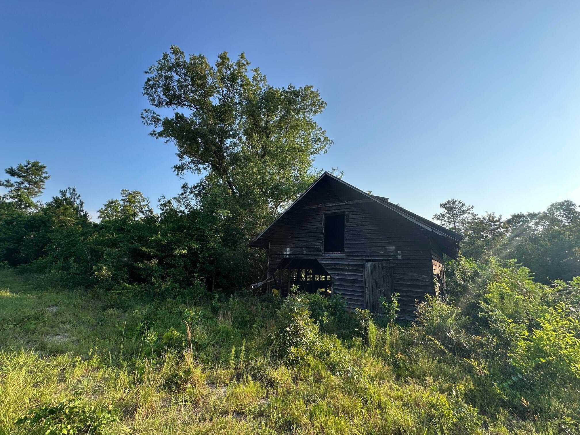 Undeveloped at 2576 Jessie James Pond Road, Wrens, GA 30833, photo 17 of 56