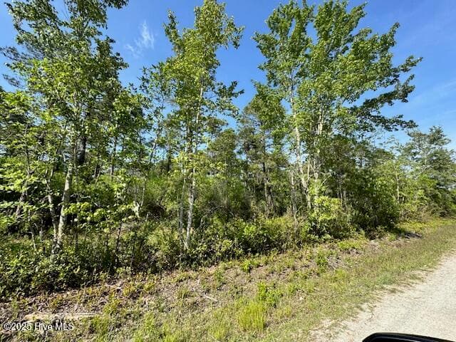 Undeveloped at 308 Plantation Road, Wilmington, NC 28411, photo 2 of 3