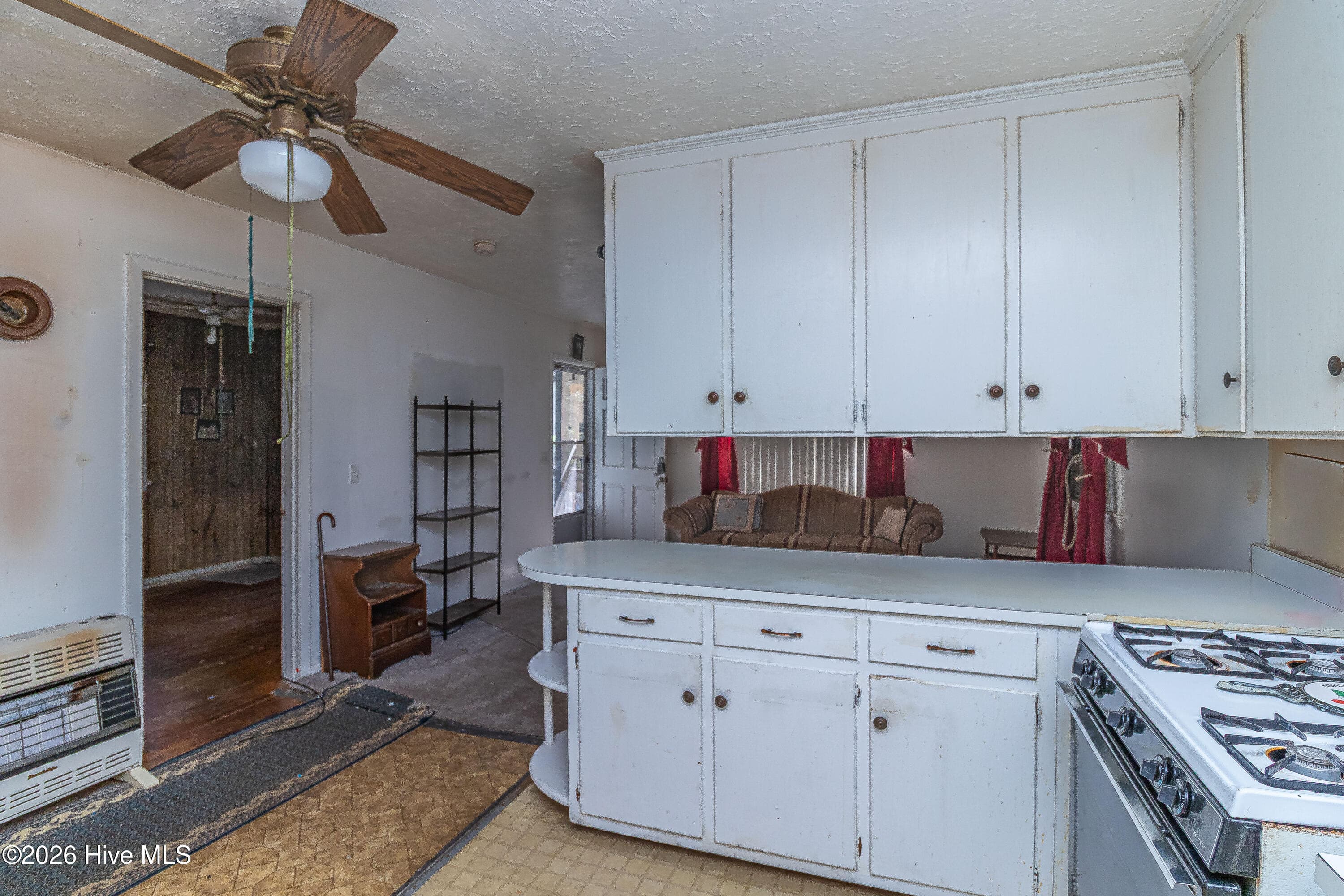 Single Family Residence at 103 Springhill Street, La Grange, NC 28551, photo 7 of 11