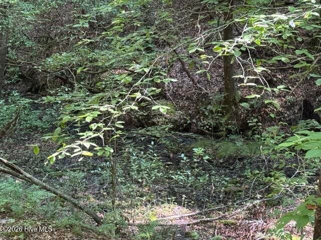 Residential Lot at 5 Tyler Lane, Marble, NC 28905, photo 27 of 28