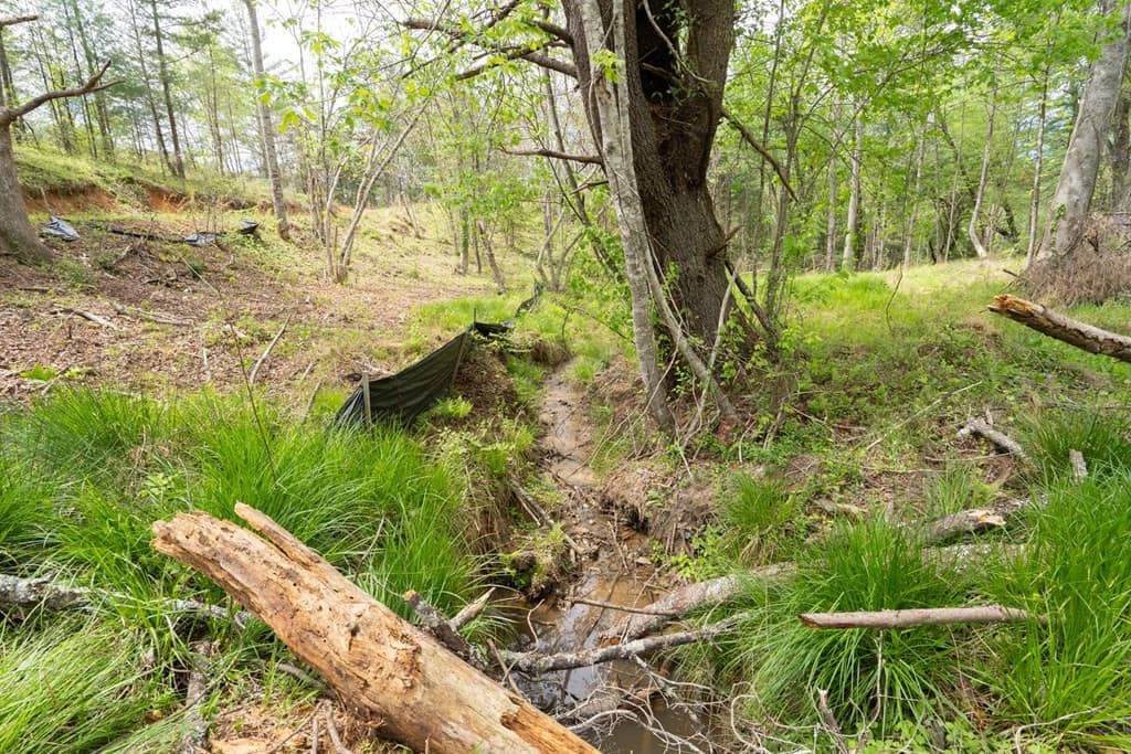 Wooded at 125 Milk And Honey Drive, Murphy, NC 28902, photo 14 of 23