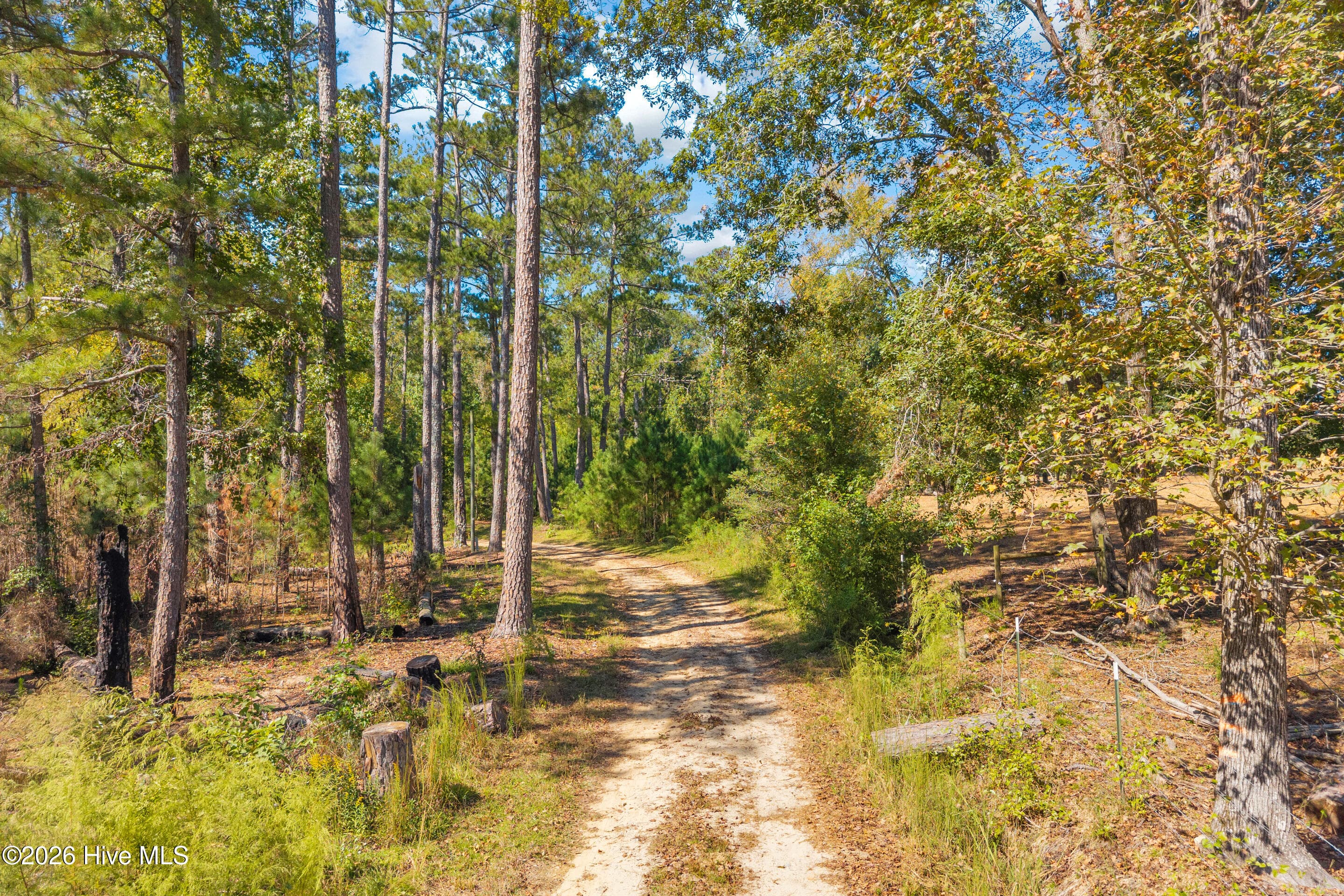 Single Family Residence at 5083 Danburg Road, Tignall, GA 30668, photo 20 of 60