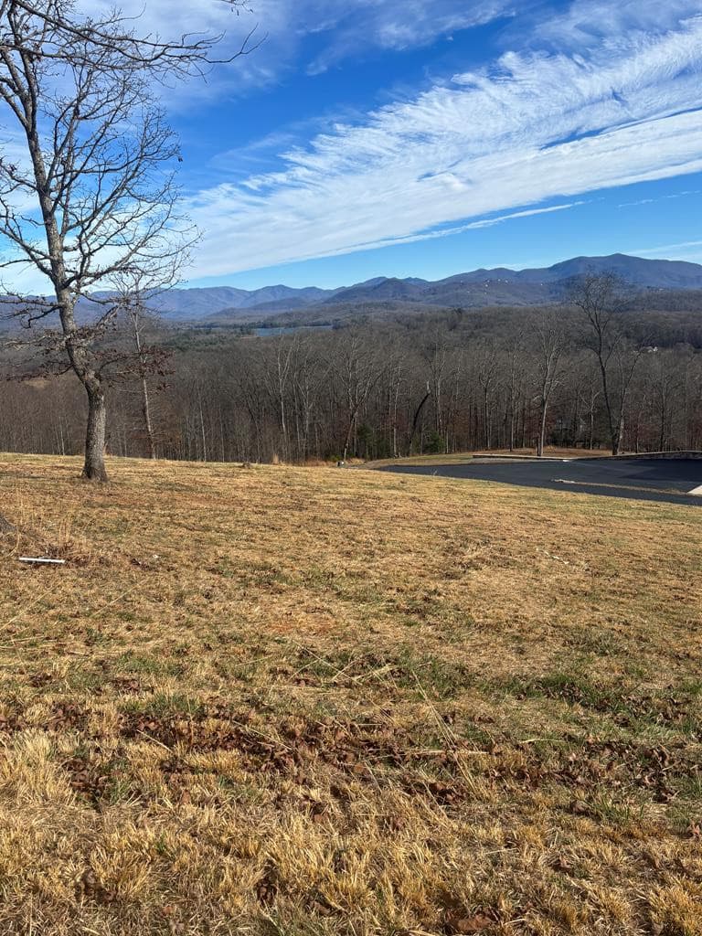 Lot 24 24 Jack, Hayesville, NC 28904
