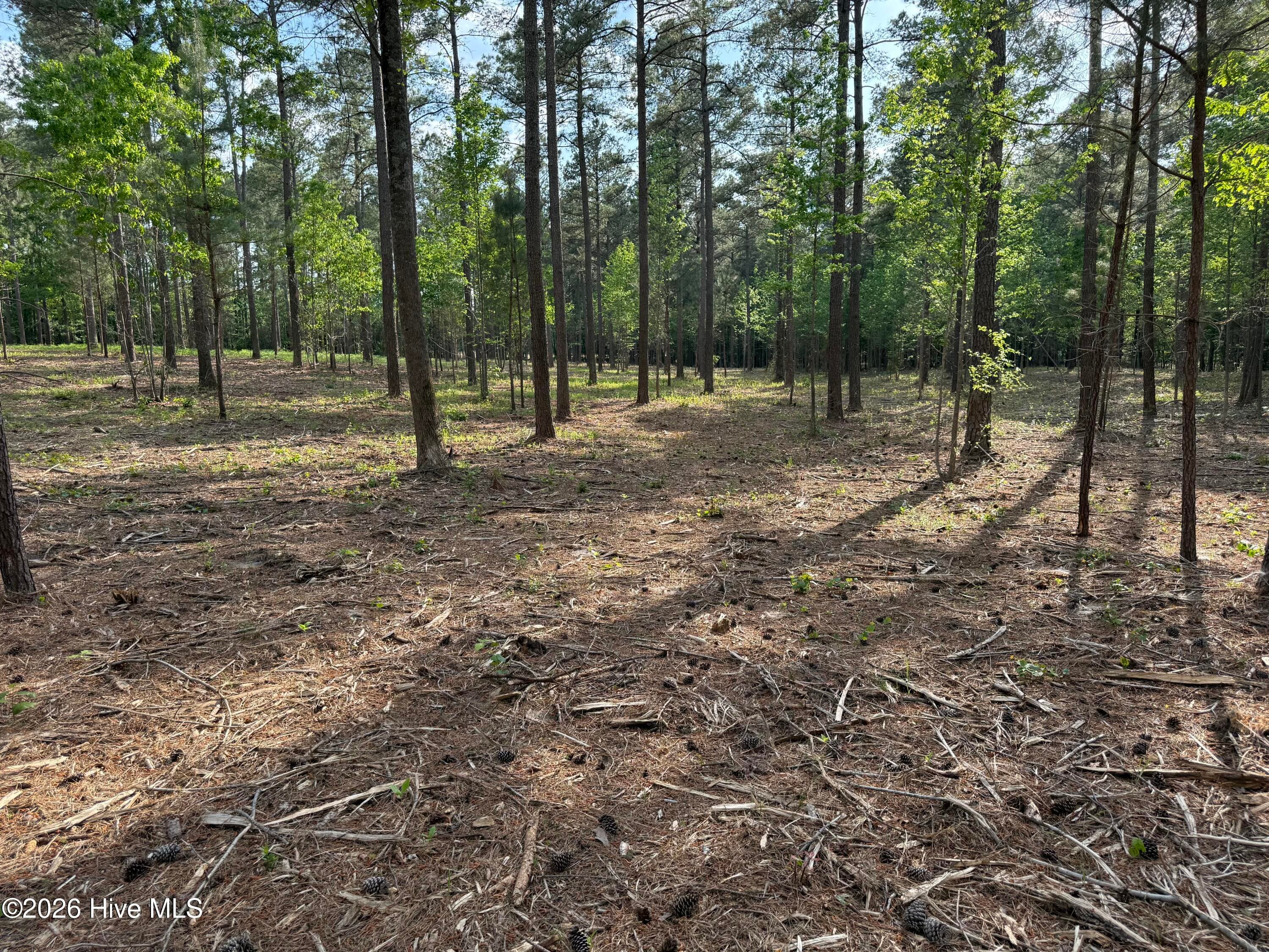 Undeveloped at 000 Tbd Lancaster Store Road Road, Spring Hope, NC 27882, photo 6 of 7