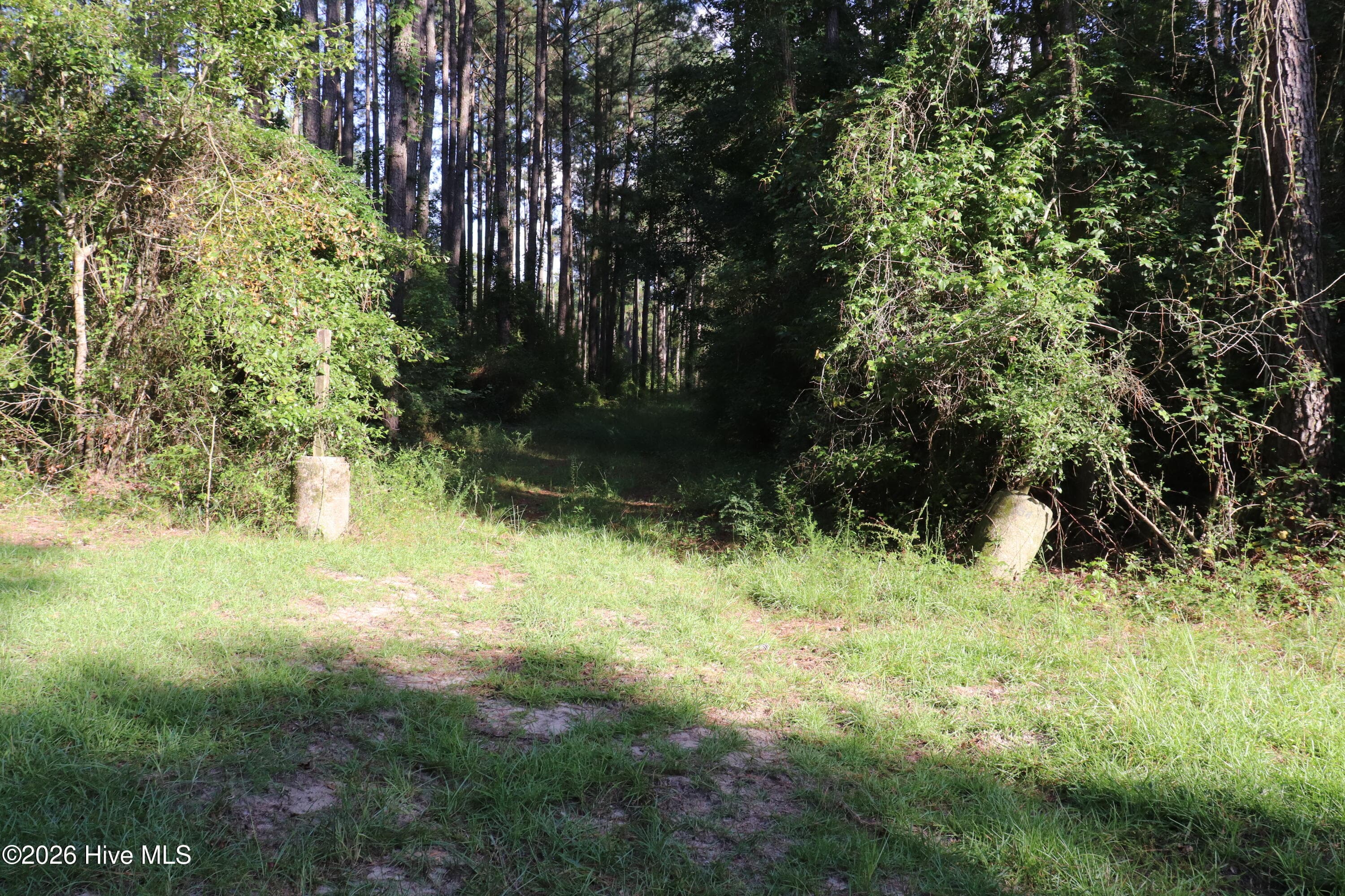 Front entrance path to cleared area within lot - Tbd 14 & 15 River Haven Lane, Harrells, NC 28444