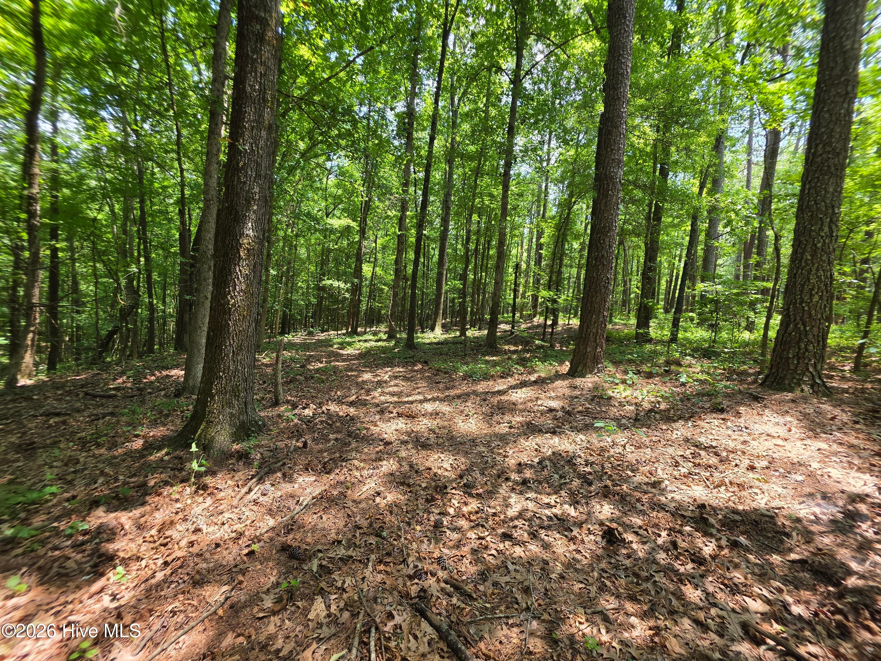 Mixed Use at 000 Court Ground Road, Washington, GA 30673, photo 5 of 52