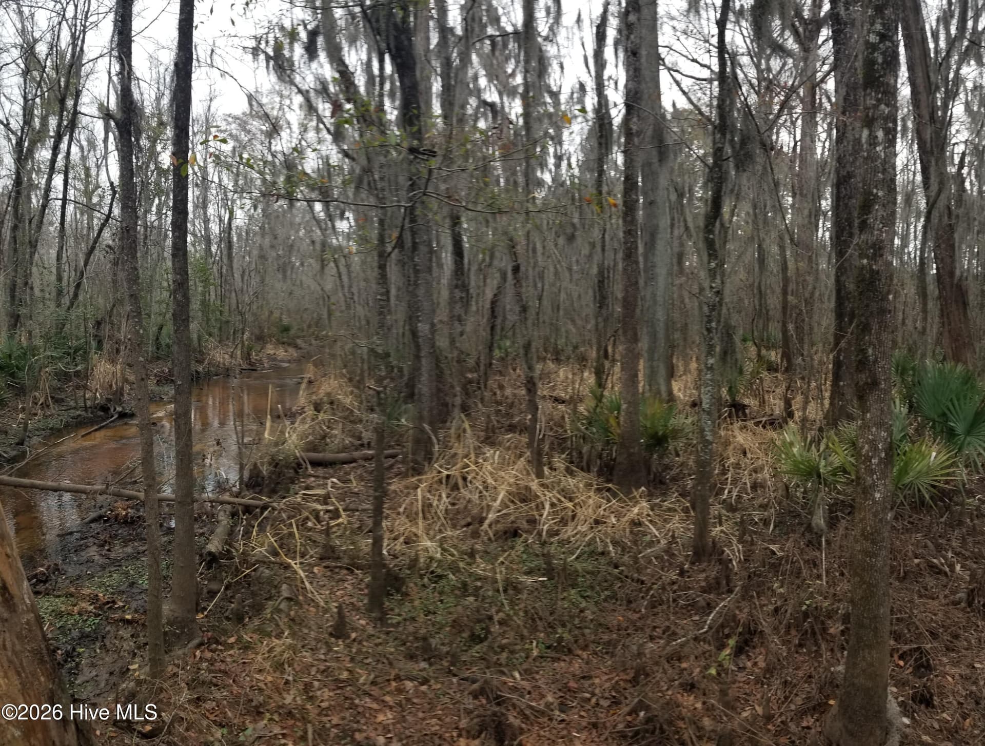 Undeveloped at 3120 Highmarket Street, Georgetown, SC 29440, photo 7 of 7