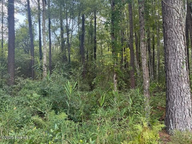 Residential Lot at 2539 Chauncey Town Road, Lake Waccamaw, NC 28450, photo 6 of 8