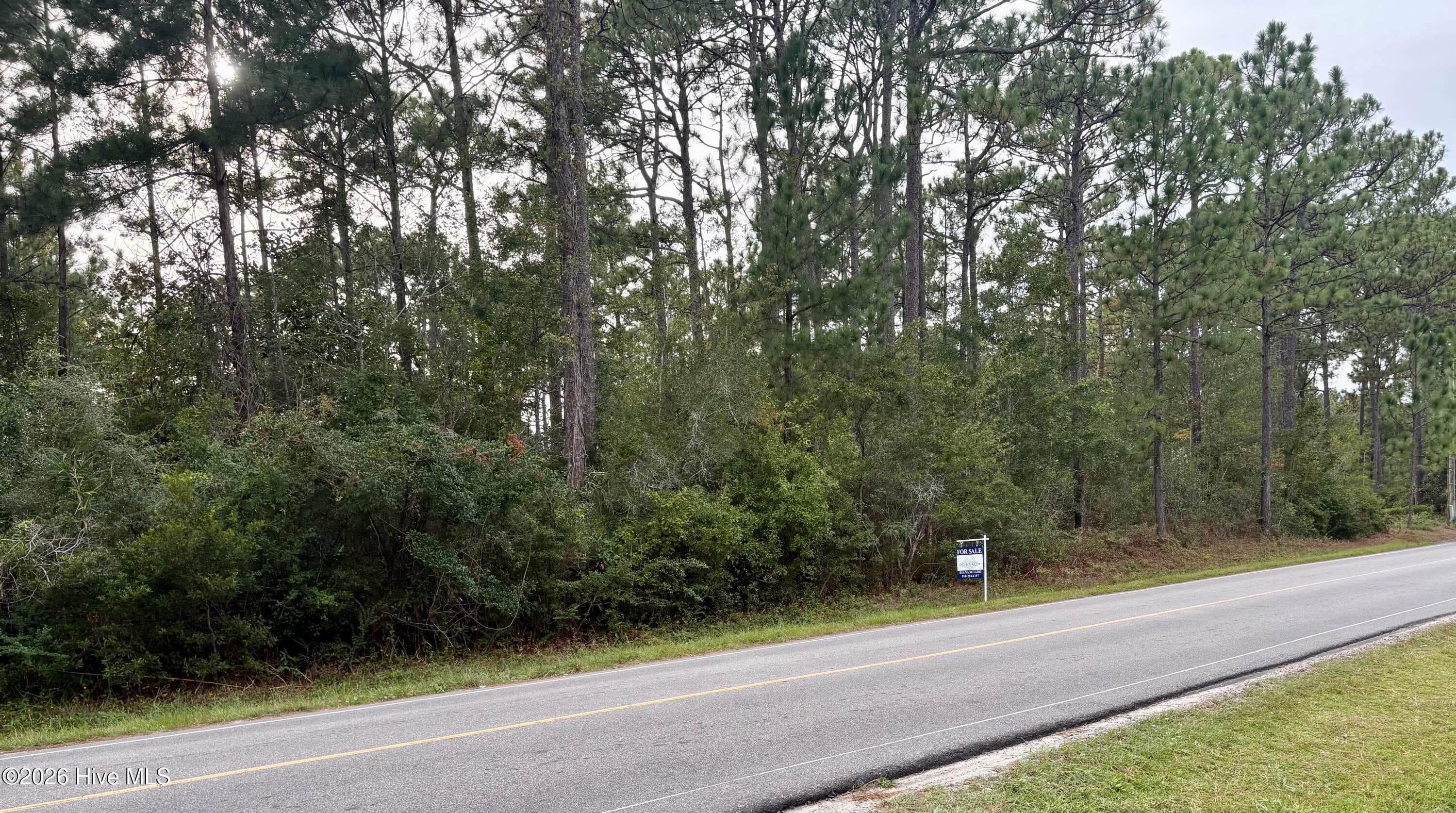 Wooded at L-80/81 80/81 Nassau Road, Boiling Spring Lakes, NC 28461, photo 4 of 11