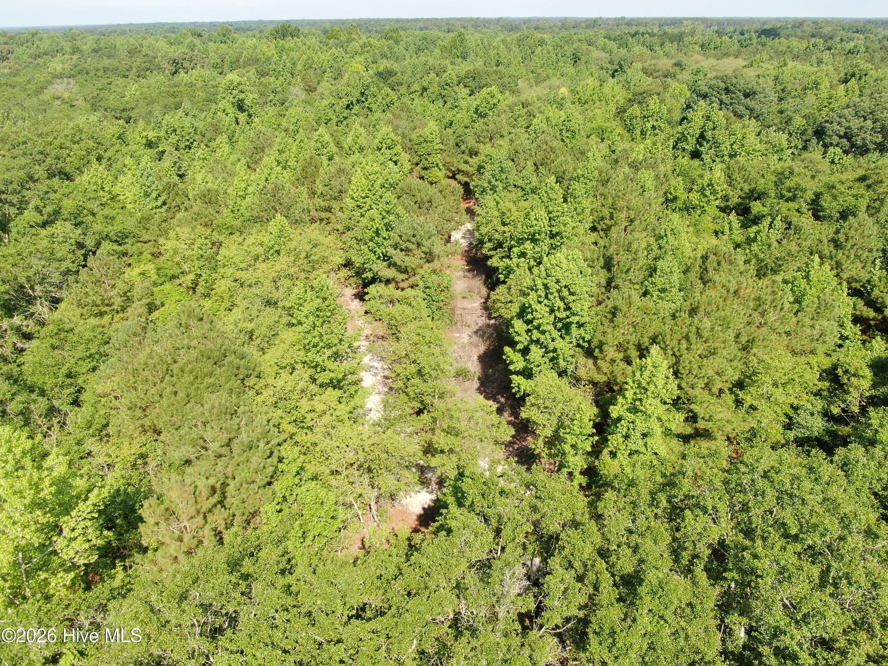 Wooded at Tbd Oliver Carlton Road, Warsaw, NC 28398, photo 14 of 17