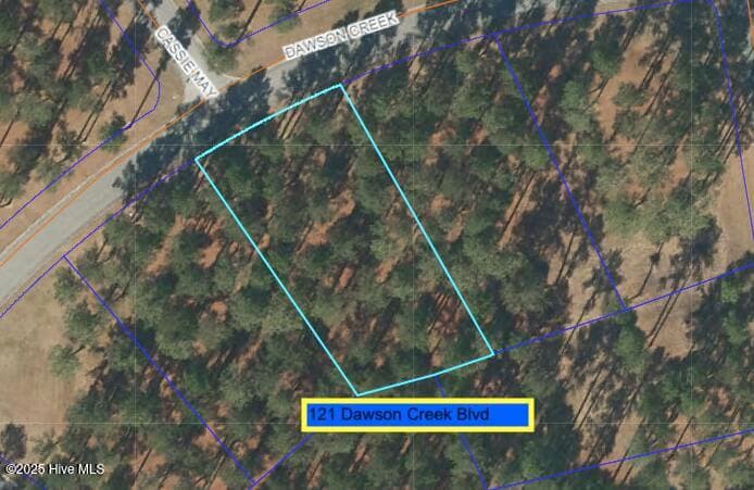 212 87 Dawson Creek Boulevard, Arapahoe, NC 28510