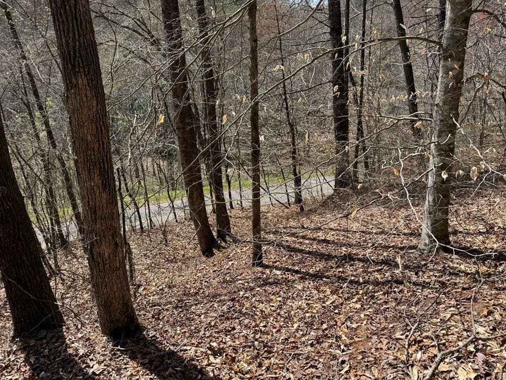 Undeveloped at 0 Morrow Road, Murphy, NC 28906, photo 3 of 5
