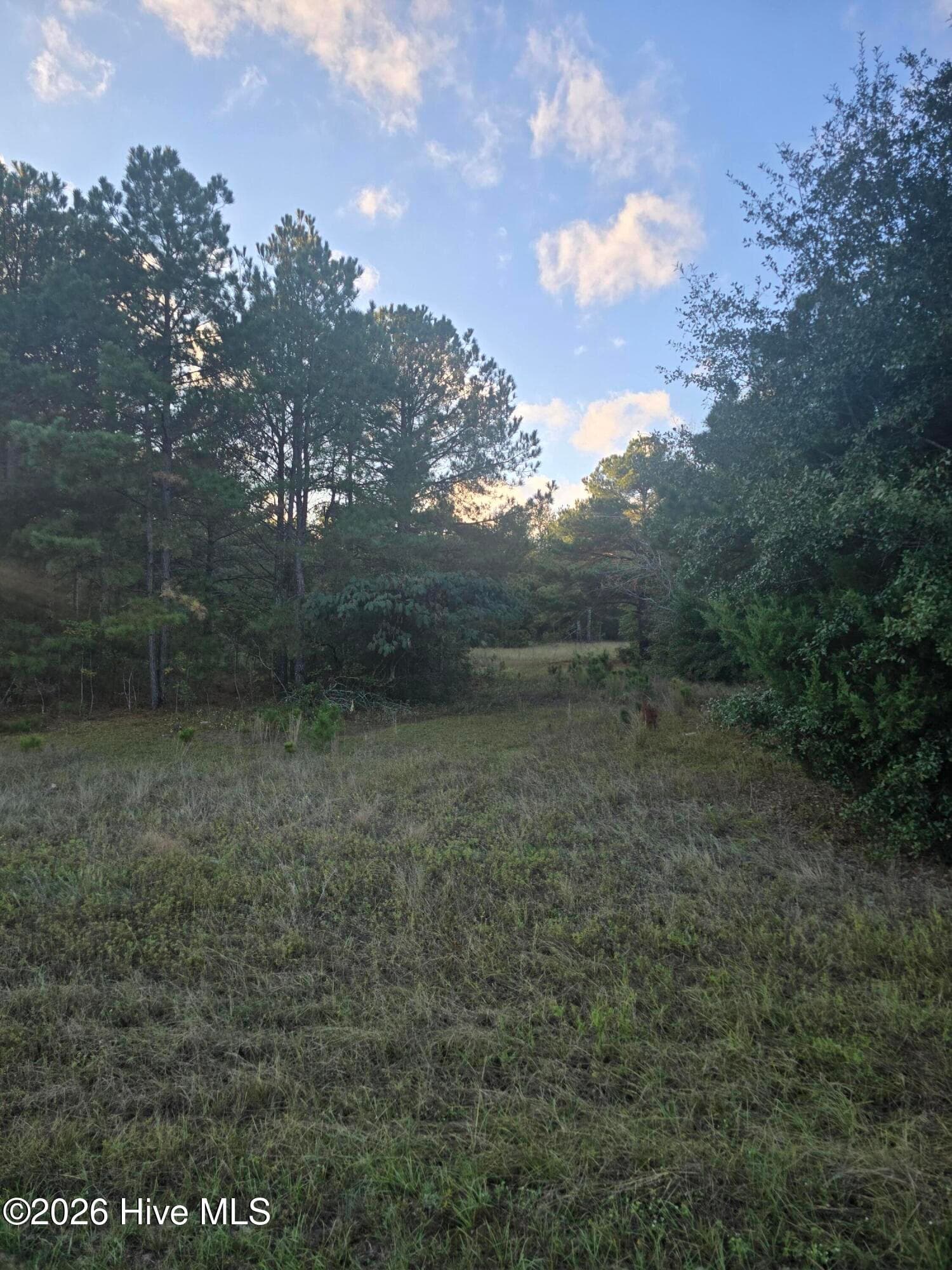 Wooded at Tbd Highway 25/Tower View Dr, Trenton, SC 29847, photo 3 of 3