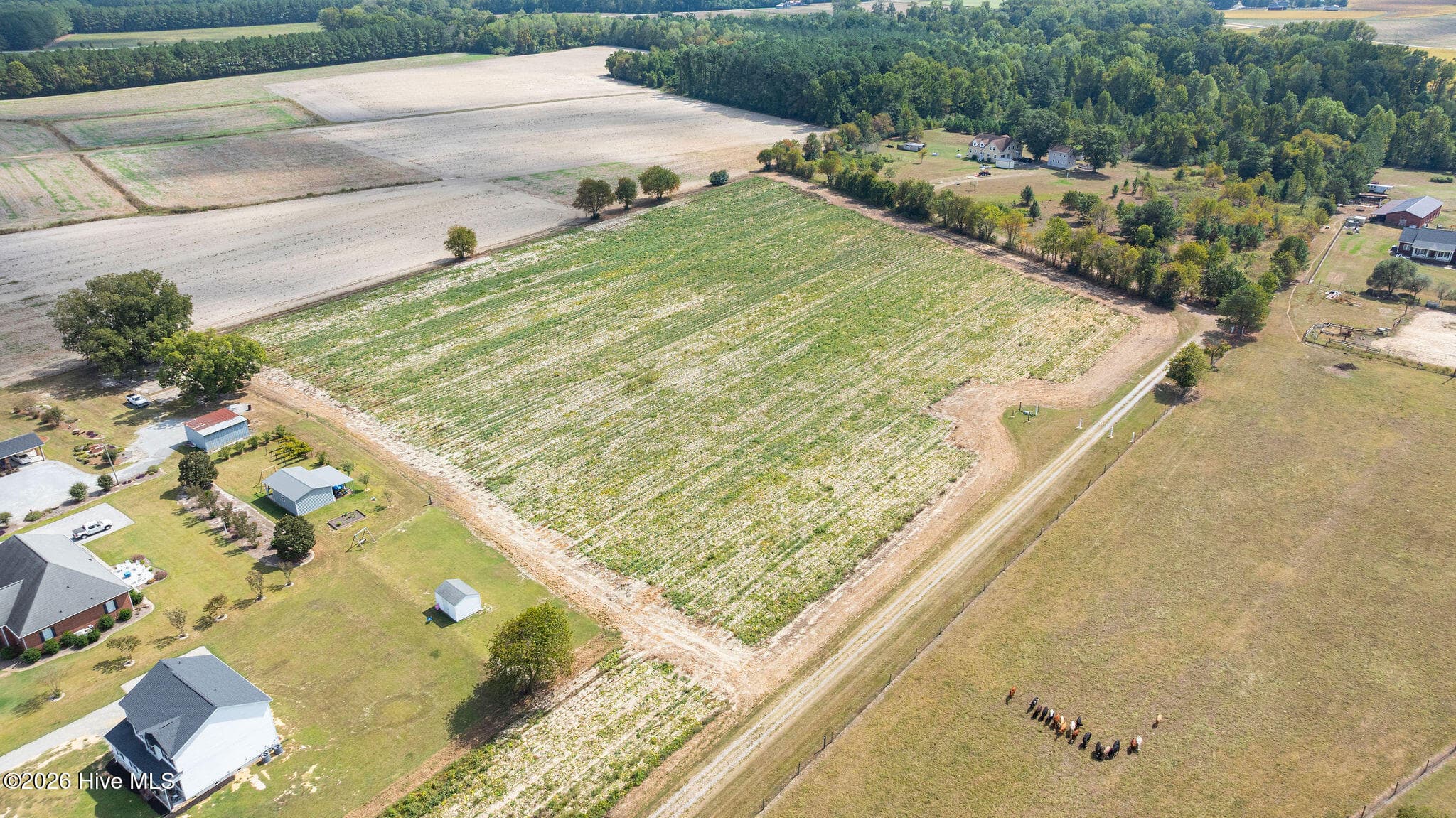 Residential Lot at 0 Eagle Ridge Lane, La Grange, NC 28551, photo 11 of 11