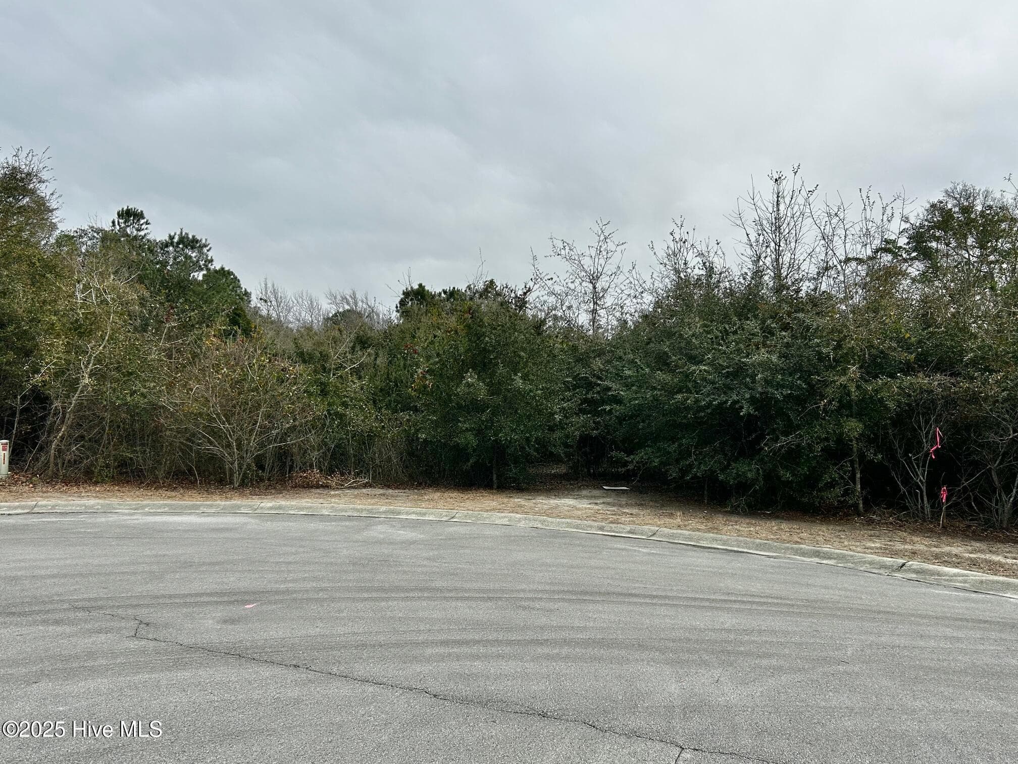110 7 Brandon Avenue, Hubert, NC 28539