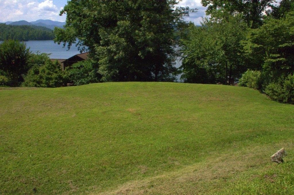 Land at 00 Lakeside Trail, Robbinsville, NC 28771, photo 11 of 11