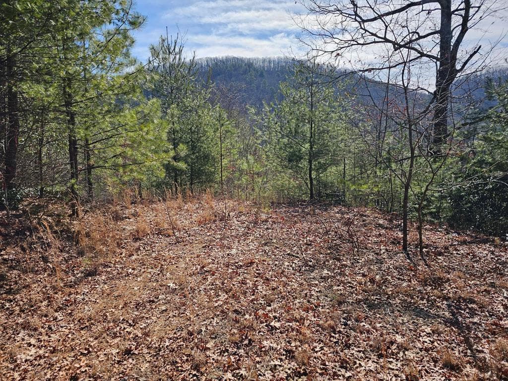 51 51 Kudzu Creek Trail, Murphy, NC 28906