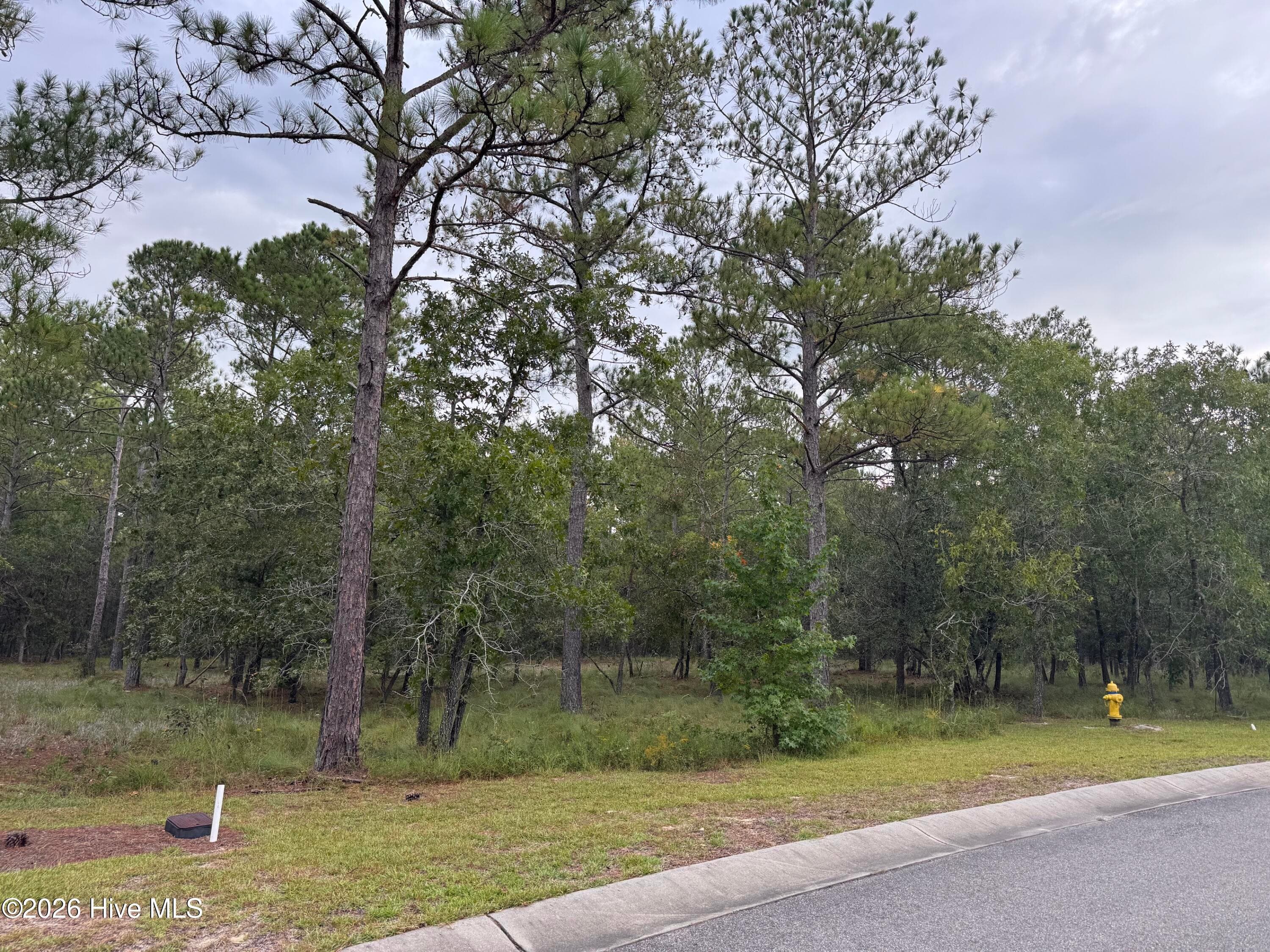 Residential Lot at 3022 Spiro Street SE, Bolivia, NC 28422, photo 4 of 6