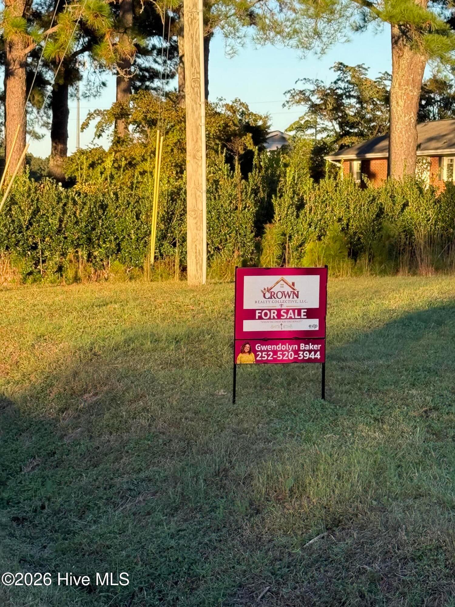 Single Family Residence at 552 Church Of God Road, Goldsboro, NC 27534, photo 2 of 49