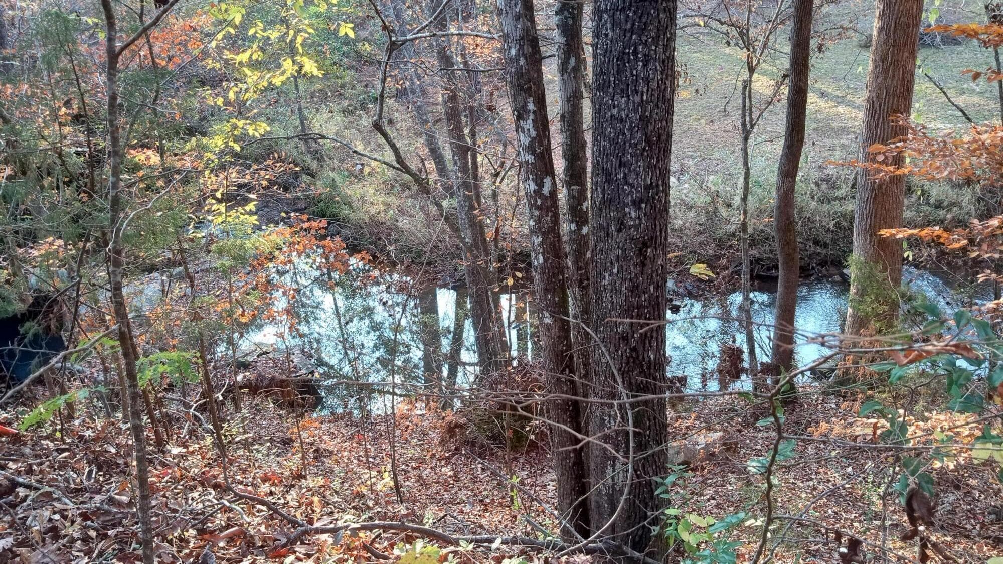 Residential Lot at 2722 Sc-23, Modoc, SC 29838, photo 10 of 62