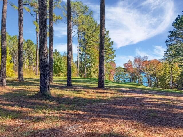 Residential Lot at 18 S Pointe Cove, Lincolnton, GA 30817, photo 5 of 15
