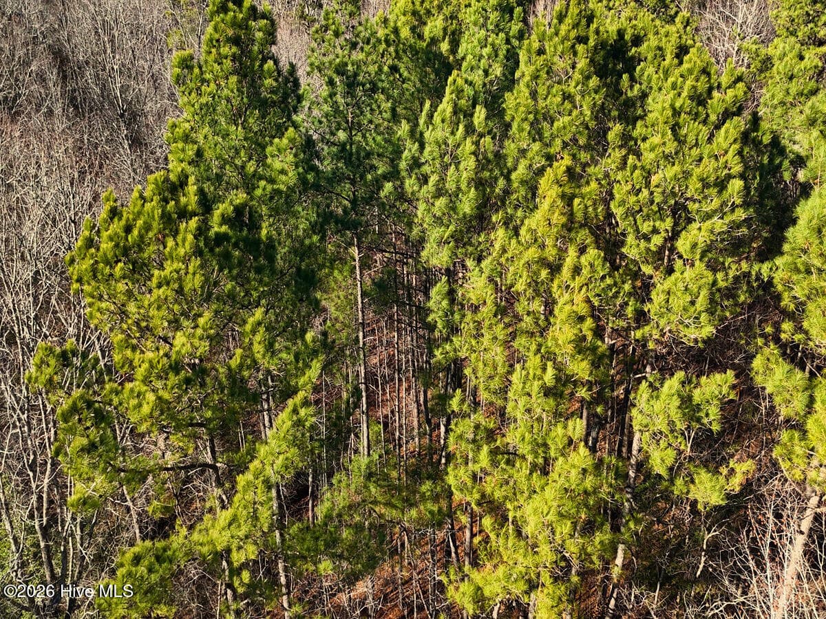 Residential Land at 0 Nc 98 Highway, Spring Hope, NC 27882, photo 35 of 39