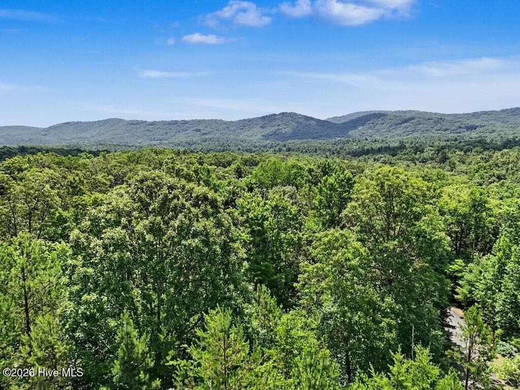 Single Family Residence at 383 Rustic Barn Trail, Morganton, GA 30560, photo 6 of 6
