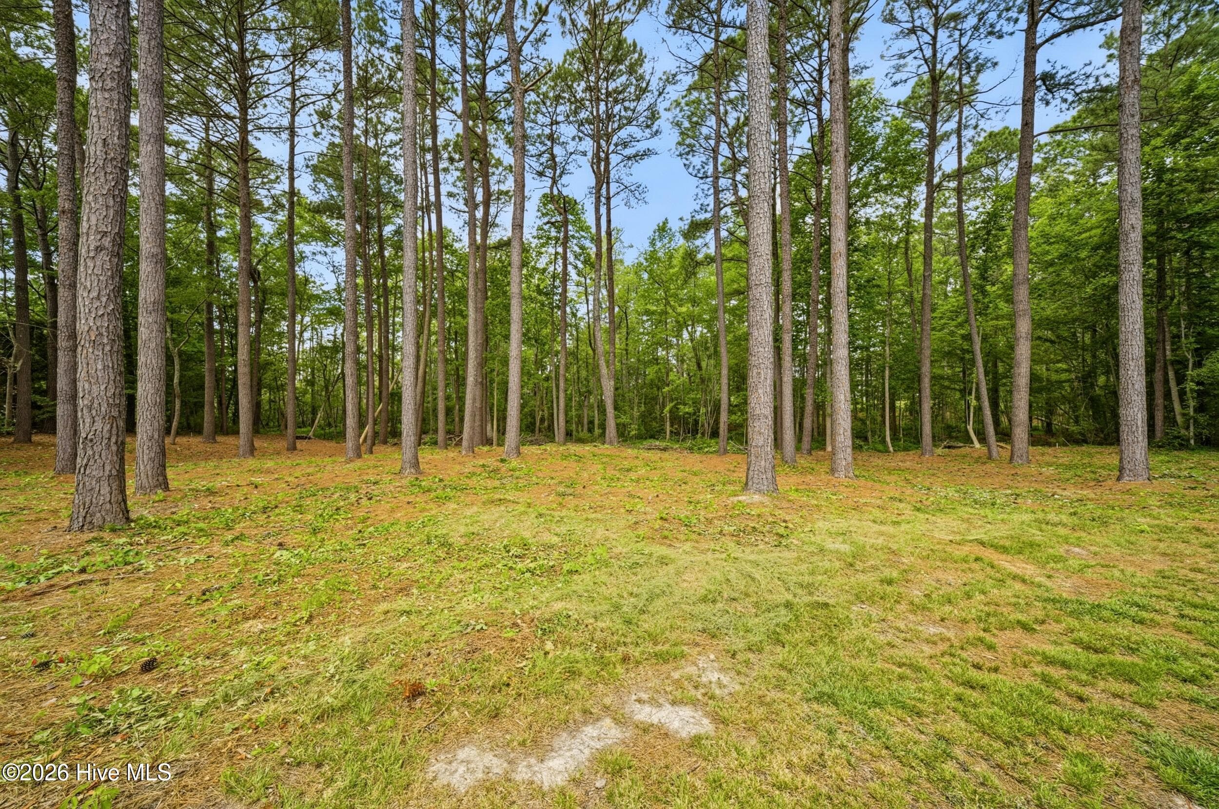 Single Family Residence at 134 Yeopim Creek Drive, Hertford, NC 27944, photo 36 of 57